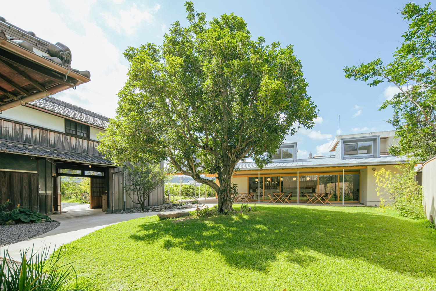 みかん畑のなかに建つカフェみかんの木の全景
